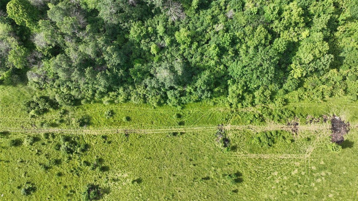 XX County Road BB, Baldwin WI 54002 - Land house for sale - MLS #1602567 - image14