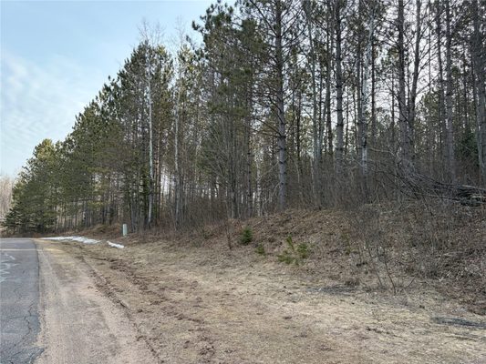 ON Barker Lake Road, Winter WI 54896 - Land house for sale - MLS #1599276 - image1