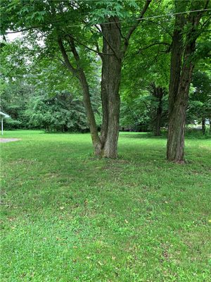 498 Avery Avenue Park Falls WI 54552