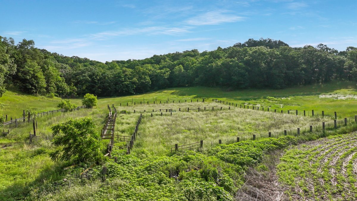 N3684 Claire Road Taylor WI 54659 — photo 50