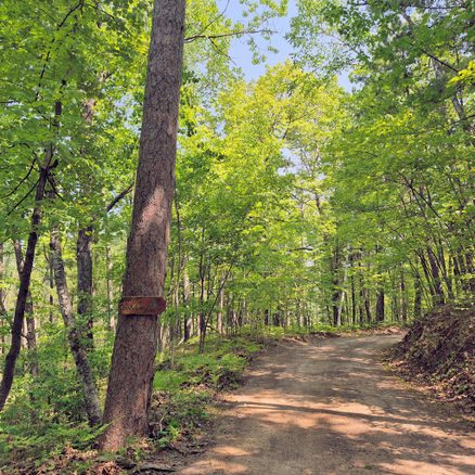 14954 Goss Road, Hayward WI 54843 - Land house for sale - MLS #1599076 - image1