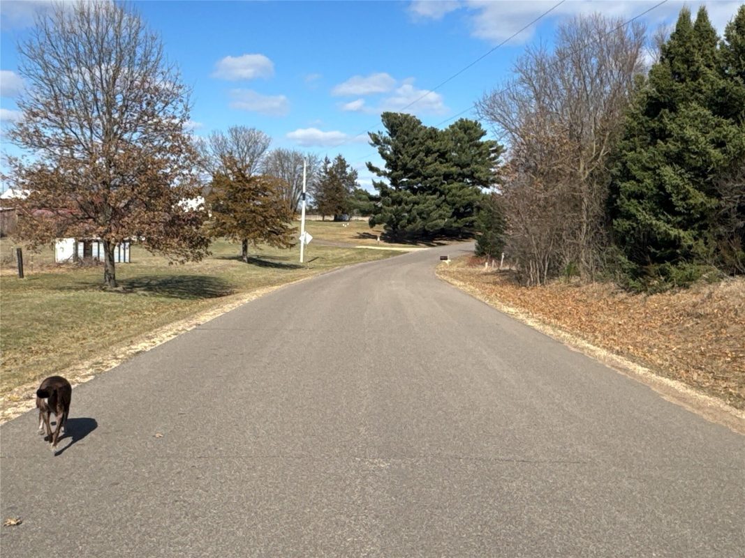 10026 E 140th Avenue Mondovi WI 54701 — photo 10