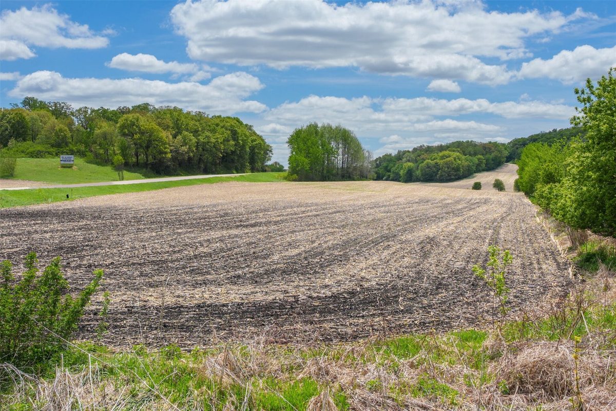35 acres Old Town Road, Mondovi WI 54755 - Land house for sale - MLS #1601470 - image17