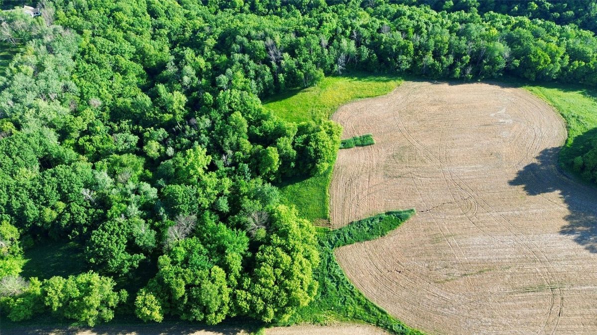 15.01 Acres 160th Avenue, Maiden Rock WI 54750 - Land house for sale - MLS #1604580 - image8