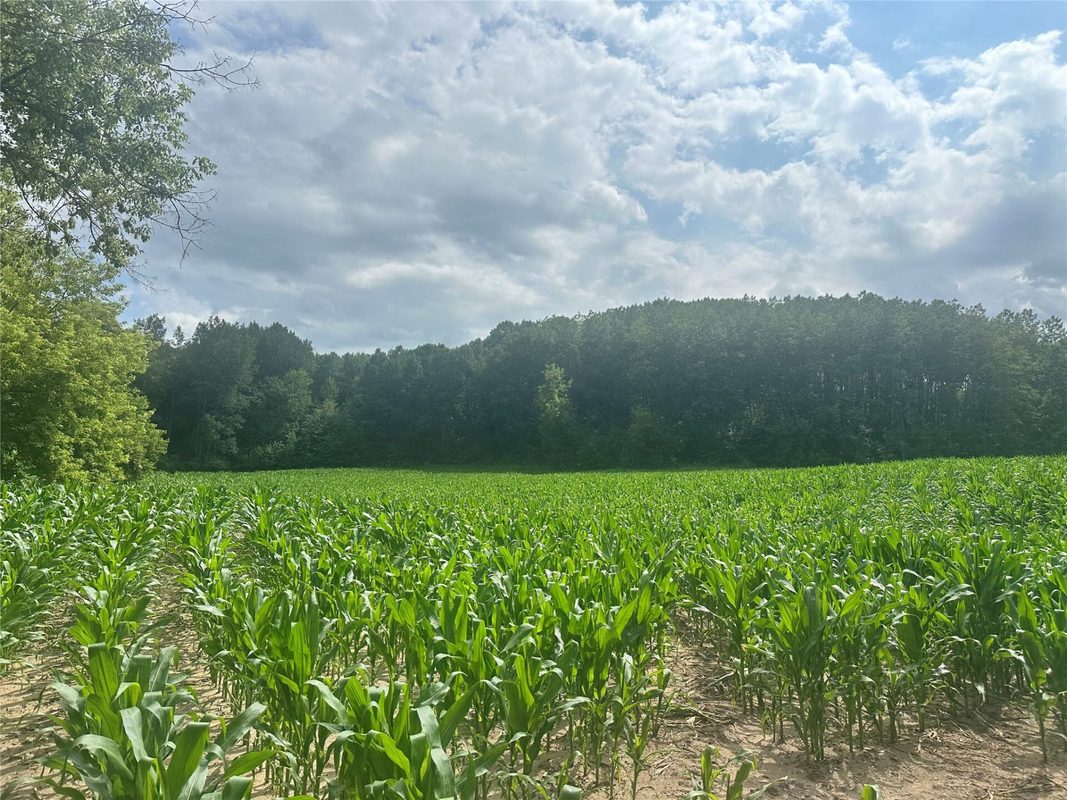 10925 Hemlock Road, Mondovi WI 54755 - Land house for sale - MLS #1604420 - image8