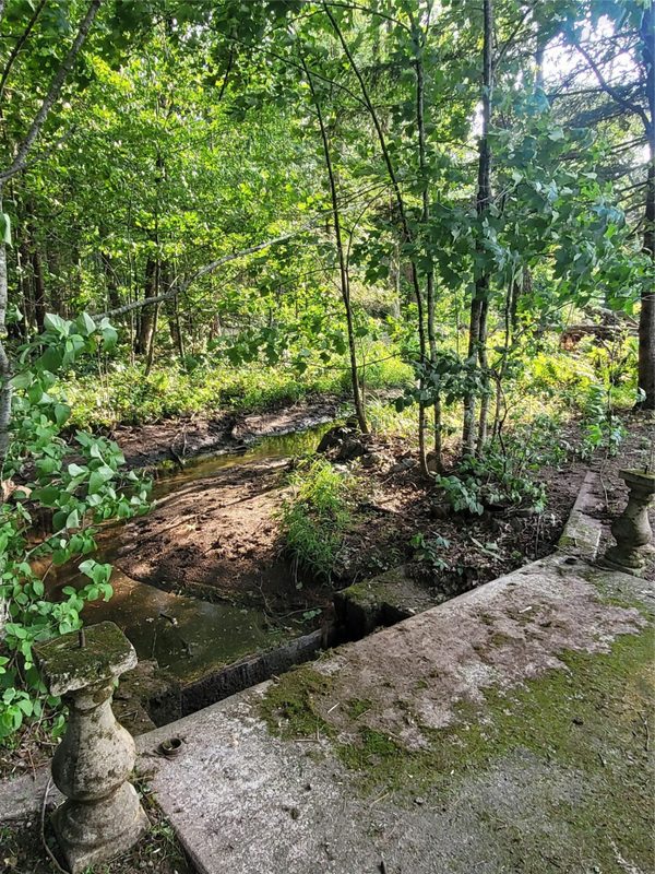 N900 Resewood Avenue, Neillsville WI 54456 - Land house for sale - MLS #1597245 - image47