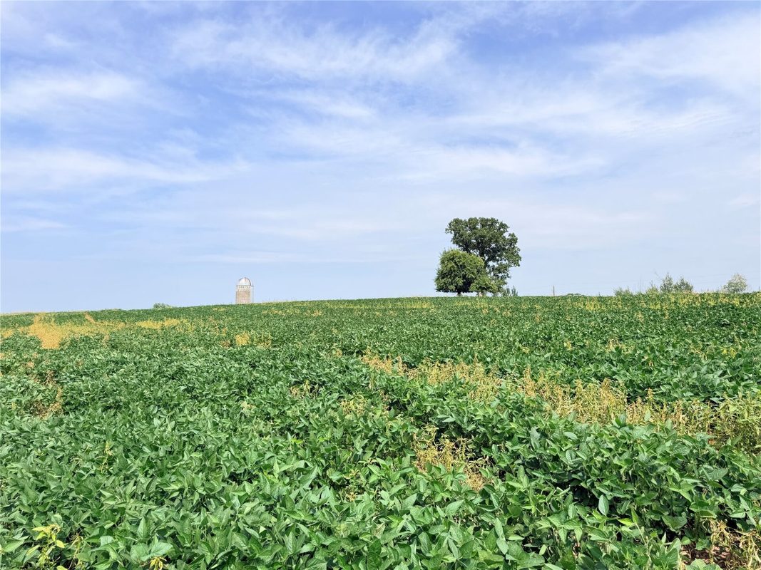 10 Acres Lot 4 230th Street, St Croix Falls WI 54024 - Land house for sale - MLS #1606210 - image18