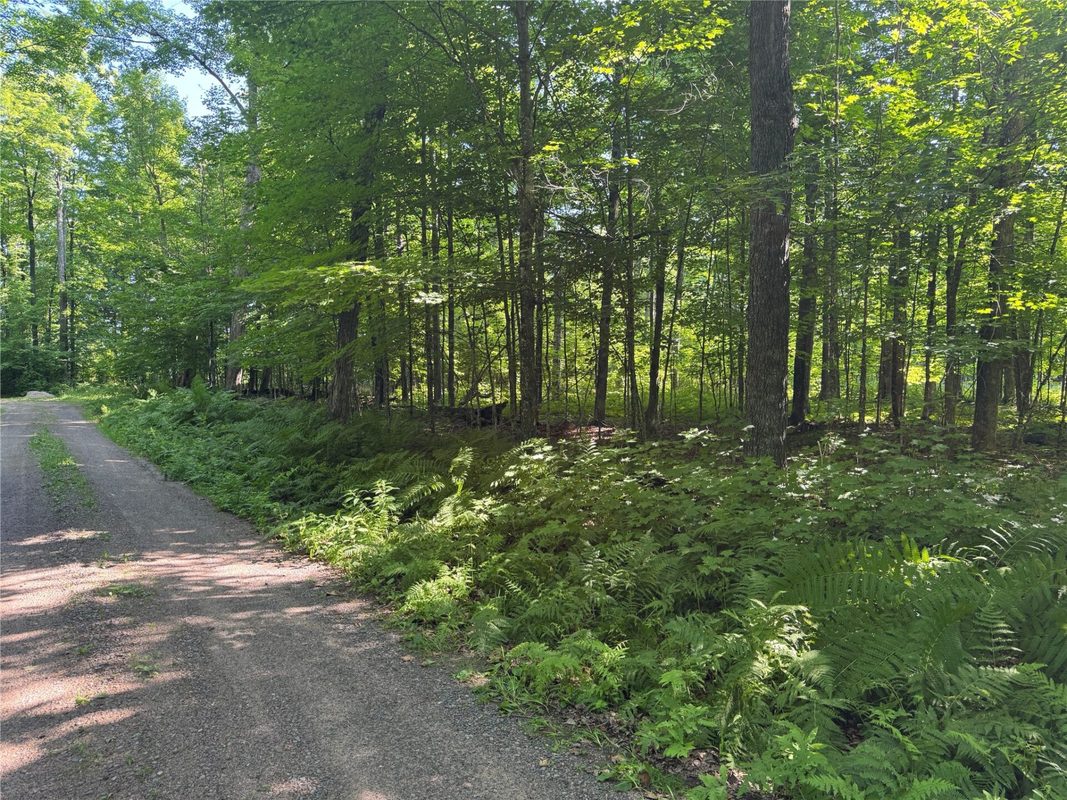 Lot 8 Crane Lane, Hayward WI 54843 - Land house for sale - MLS #1603375 - image12
