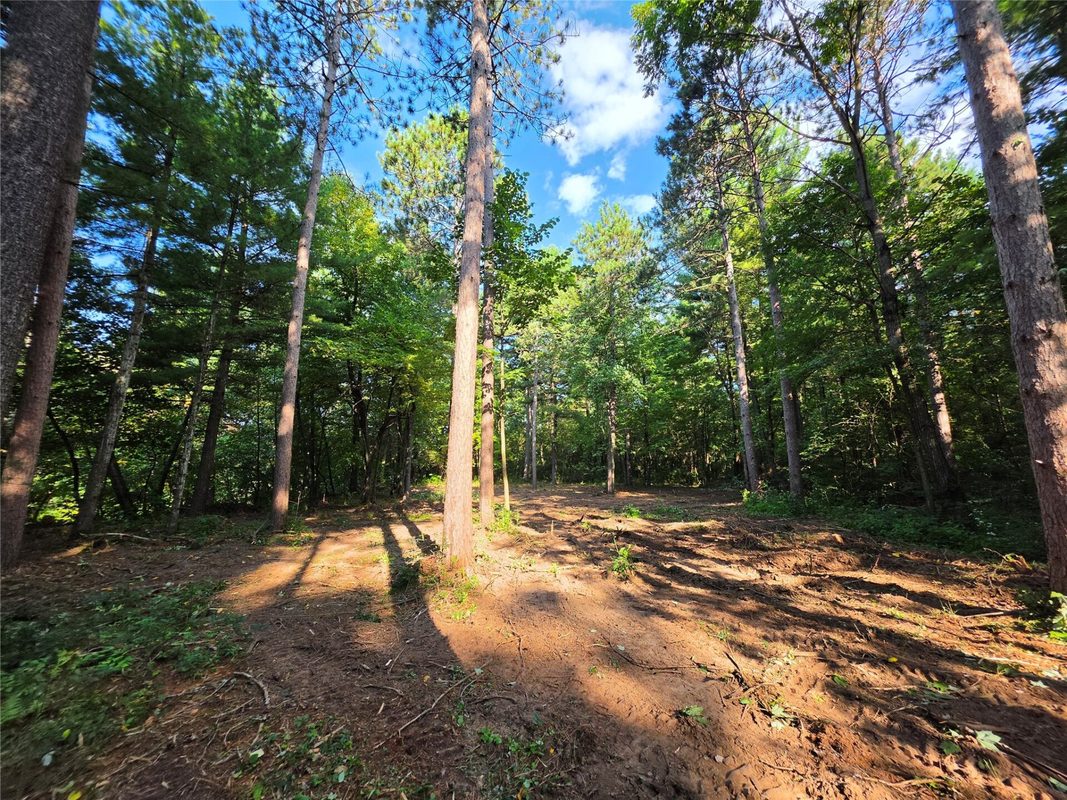 0 Country Road C Lot 1, Elk Mound WI 54739 - Land house for sale - MLS #1604589 - image5
