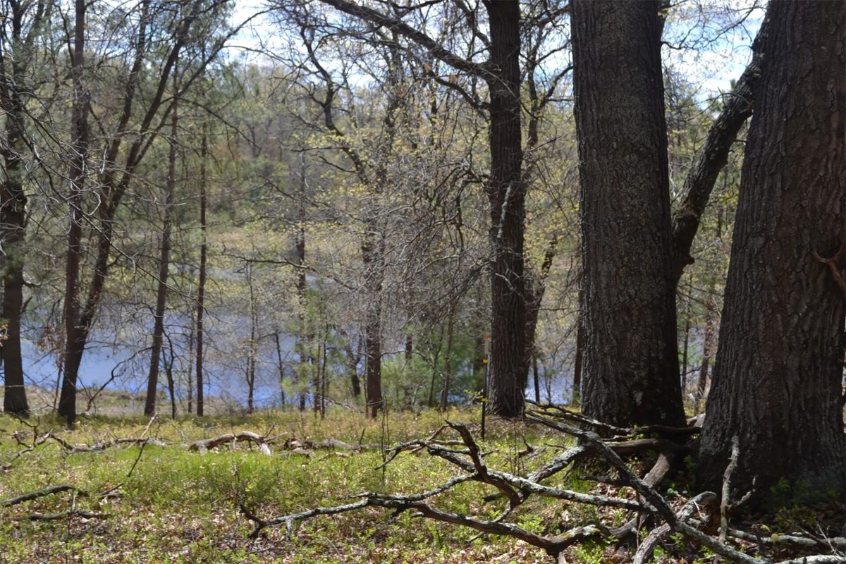 1391 Dock Lake Road, Spooner WI 54801 - Land house for sale - MLS #1601069 - image19