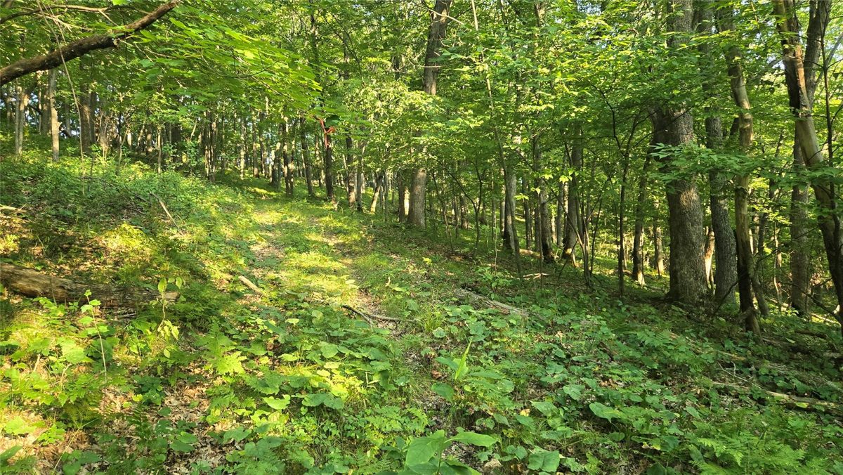 W02 State Highway 64, Colfax WI 54730 - Land house for sale - MLS #1604529 - image12