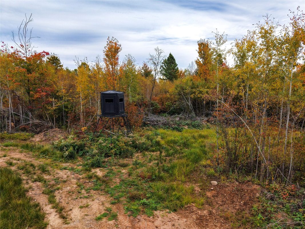 0000 County Road I, Ogema WI 54459 - Land house for sale - MLS #1605613 - image20