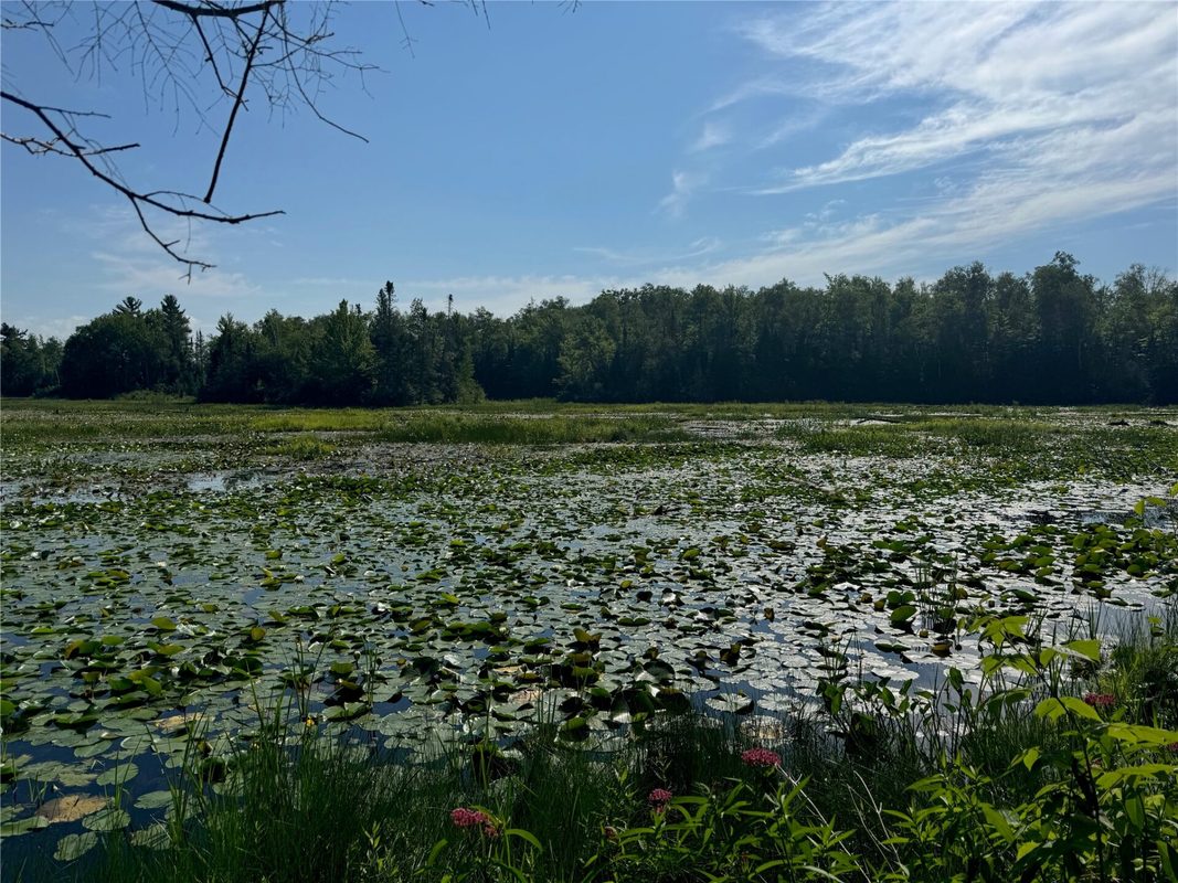 Lot 8 Crane Lane, Hayward WI 54843 - Land house for sale - MLS #1603375 - image23