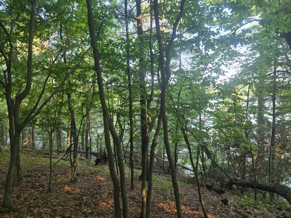 Lot 2 75th Avenue, Chippewa Falls WI 54729 - Land house for sale - MLS #1604378 - image1