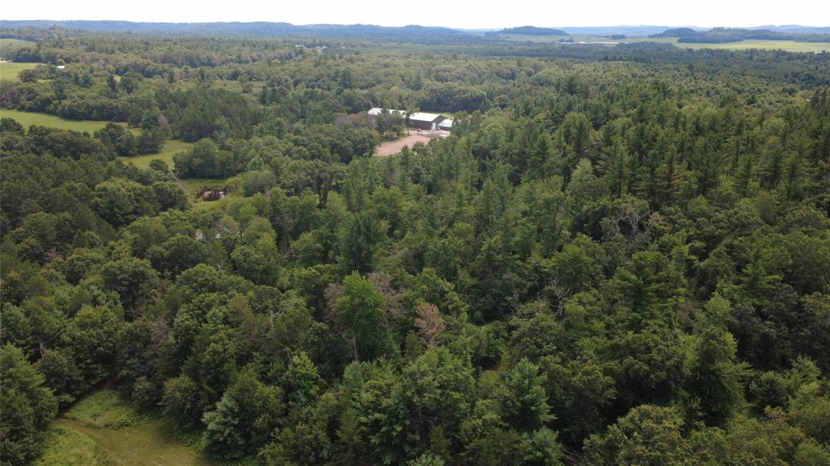 W15236 Taylor Road, Taylor WI 54659 - Residential house for sale - MLS #1603627 - image38