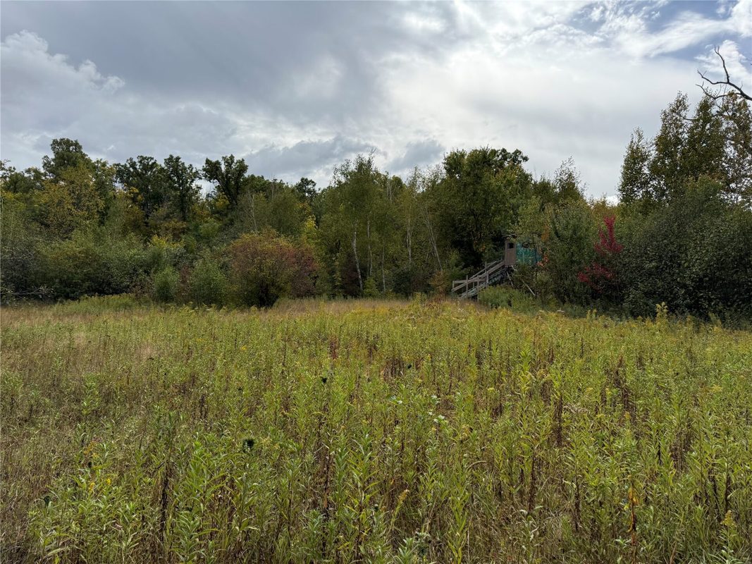 XXX 23 1/2 Street, Rice Lake WI 54868 - Land house for sale - MLS #1605312 - image23