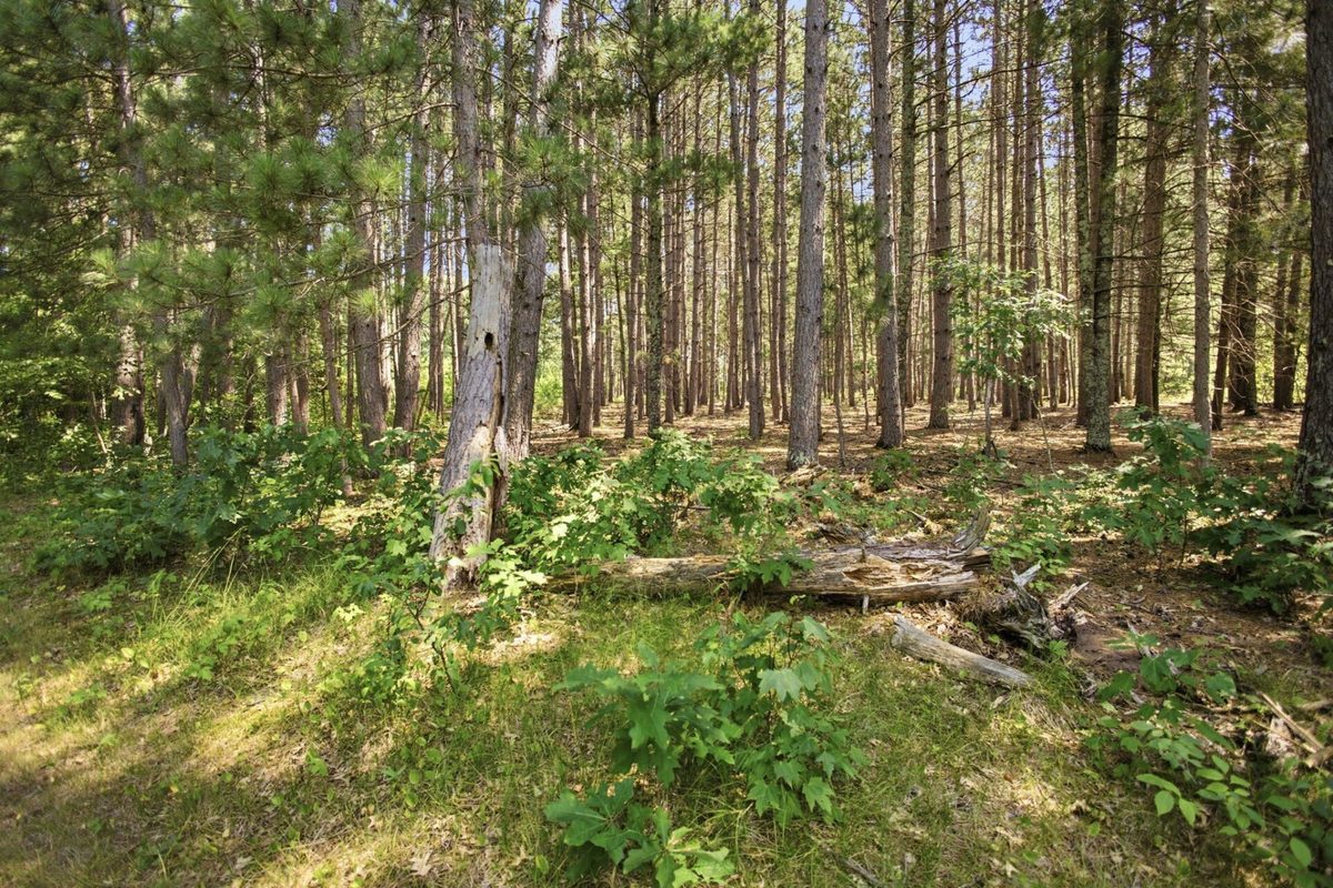 26670 Foxes Landing Road, Grantsburg WI 54840 - Residential house for sale - MLS #1603472 - image60