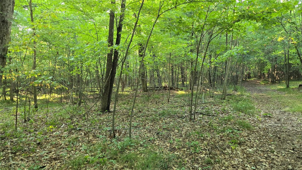 W02 State Highway 64, Colfax WI 54730 - Land house for sale - MLS #1604529 - image23