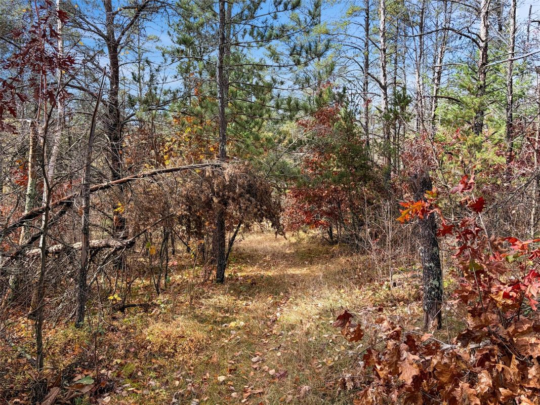 8037 Pow Road, Springbrook WI 54875 - Residential house for sale - MLS #1606055 - image54