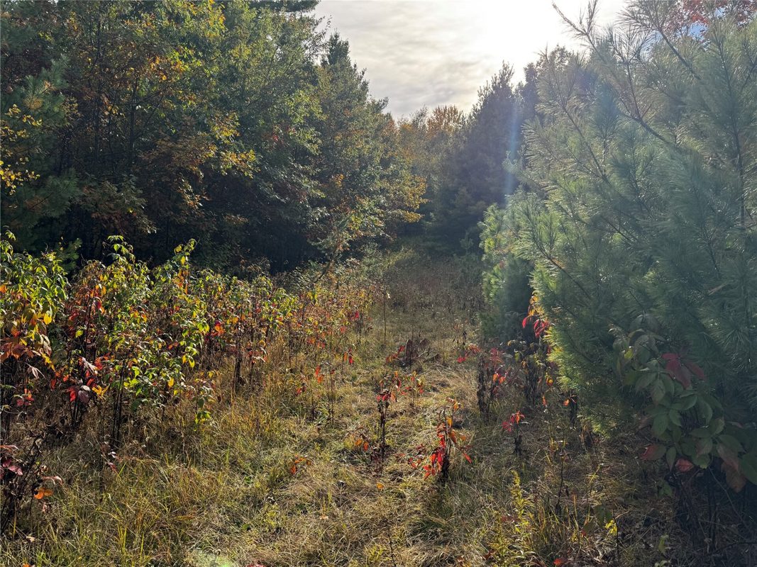 3461 56th Street, Frederic WI 54837 - Land house for sale - MLS #1605729 - image32