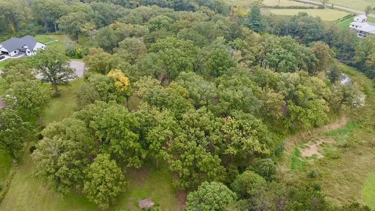 Lot 28 21st Street, Rice Lake WI 54868 - Land house for sale - MLS #1603229 - image29