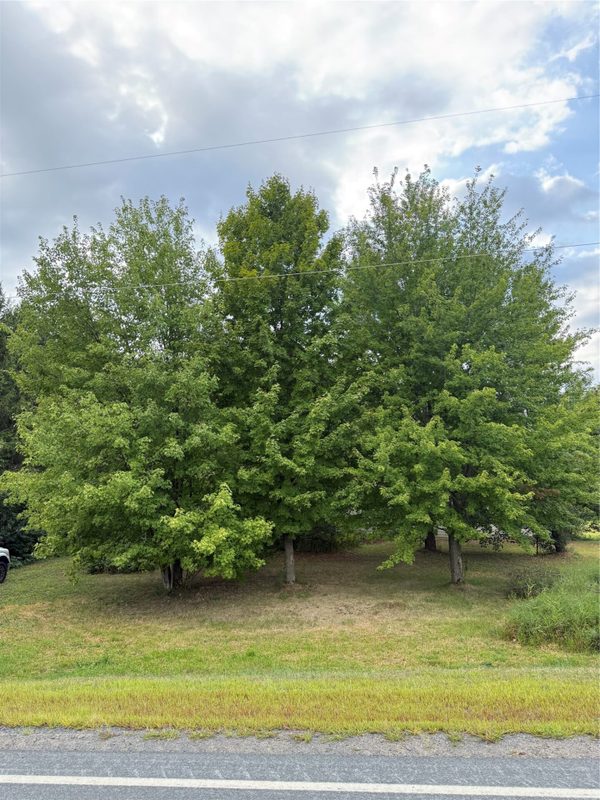 5956 County Hwy H, Stanley WI 54745 - Land house for sale - MLS #1604622 - image3