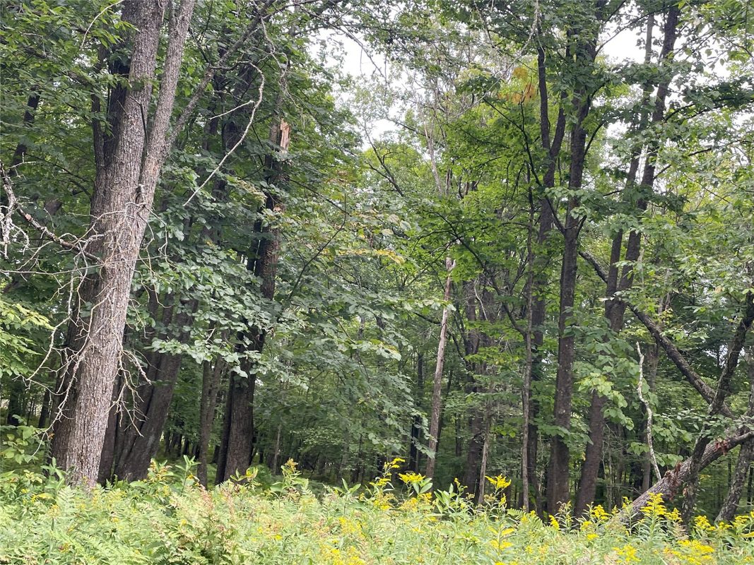 Lot 9 Hermosa Lane, Hayward, WI — photo 8