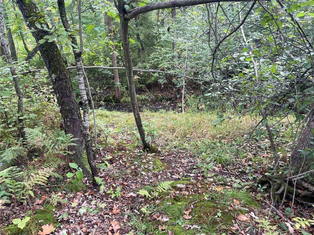 N8644 Lumbard Lane, Springbrook WI 54875 - Residential house for sale - MLS #1600874 - image31