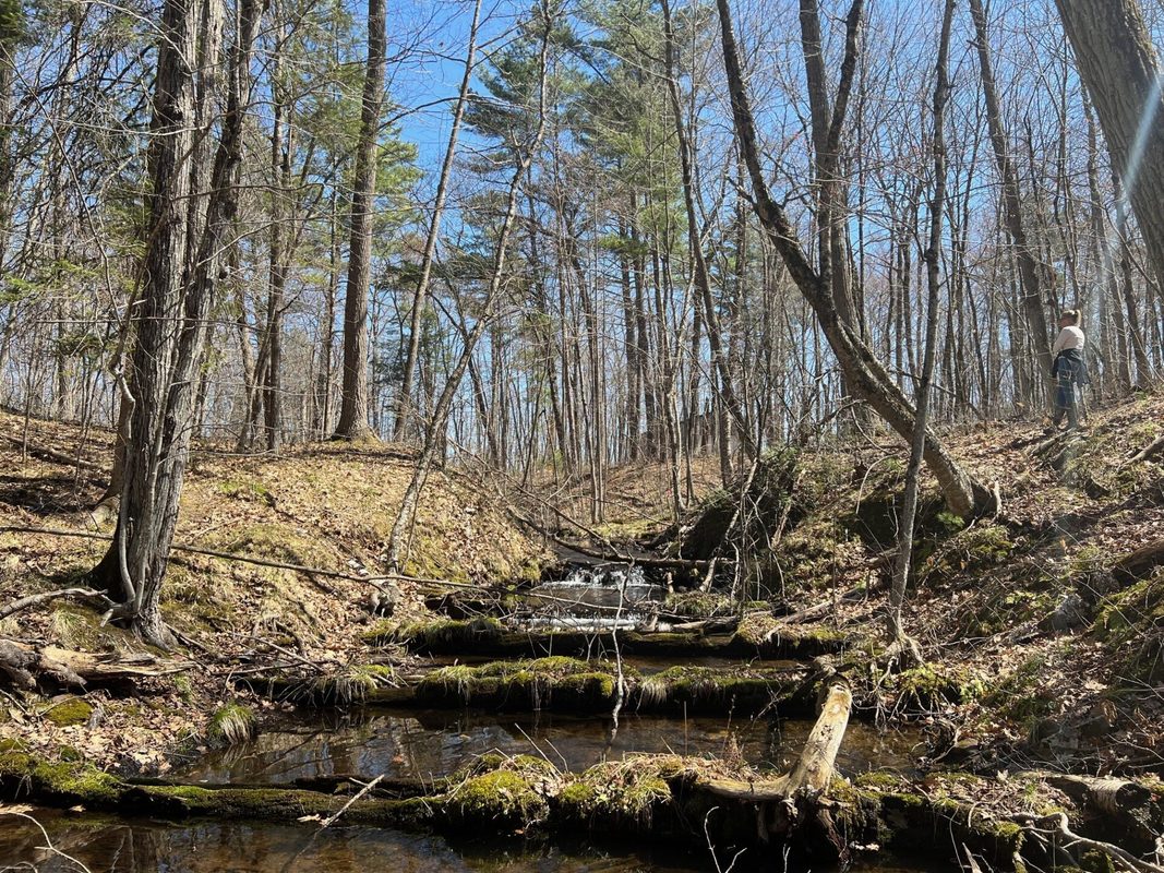 TBD Red Oak Lane, Stone Lake, WI — photo 13