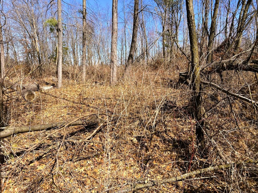 000 Pete Coulee Road, Taylor, WI — photo 43