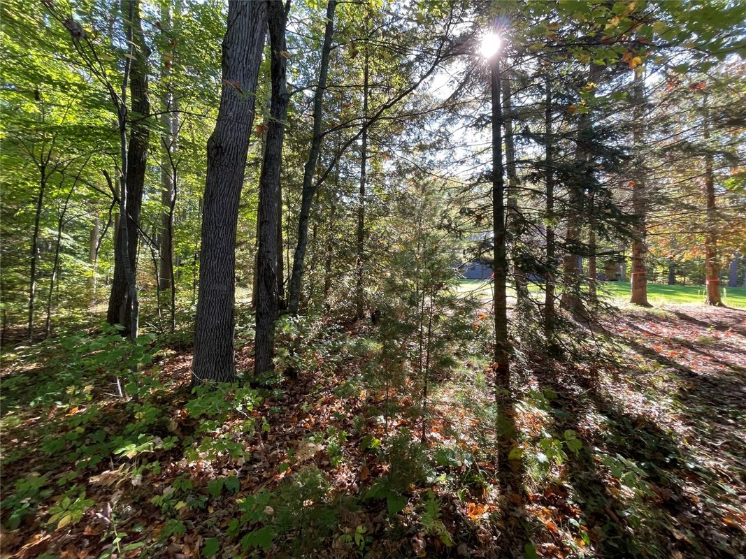 6073 Elsie Road, Stone Lake WI 54876 - Land house for sale - MLS #1602616 - image22