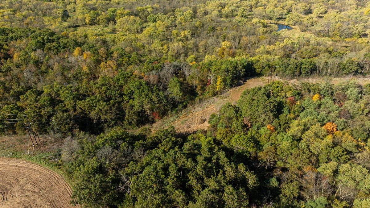 0 State Highway 25, Durand WI 54736 - Land house for sale - MLS #1605917 - image19