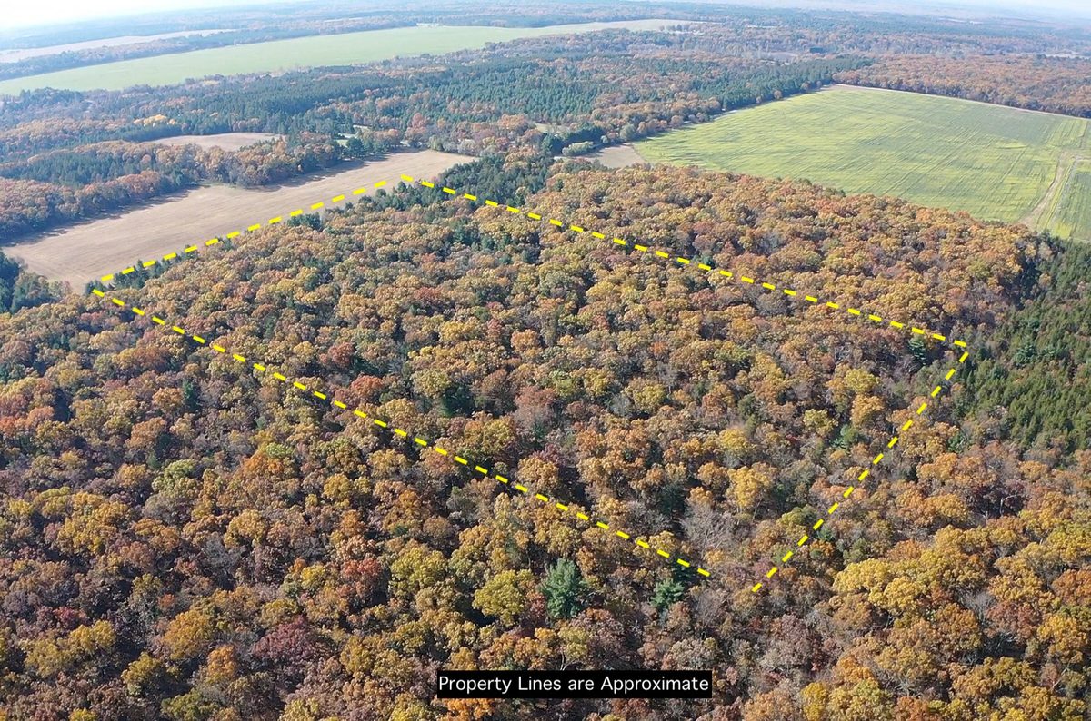 TBD Fish Drive, Grand Marsh WI 53936 - Land house for sale - MLS #1606229 - image12