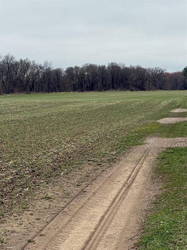 0 County Road EE, Elk Mound, WI — photo 14