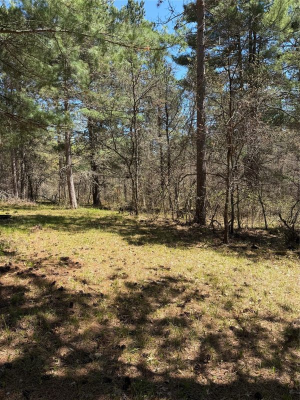 2395 Island Lake Road, Barnes WI 54873 - Land house for sale - MLS #1601454 - image13