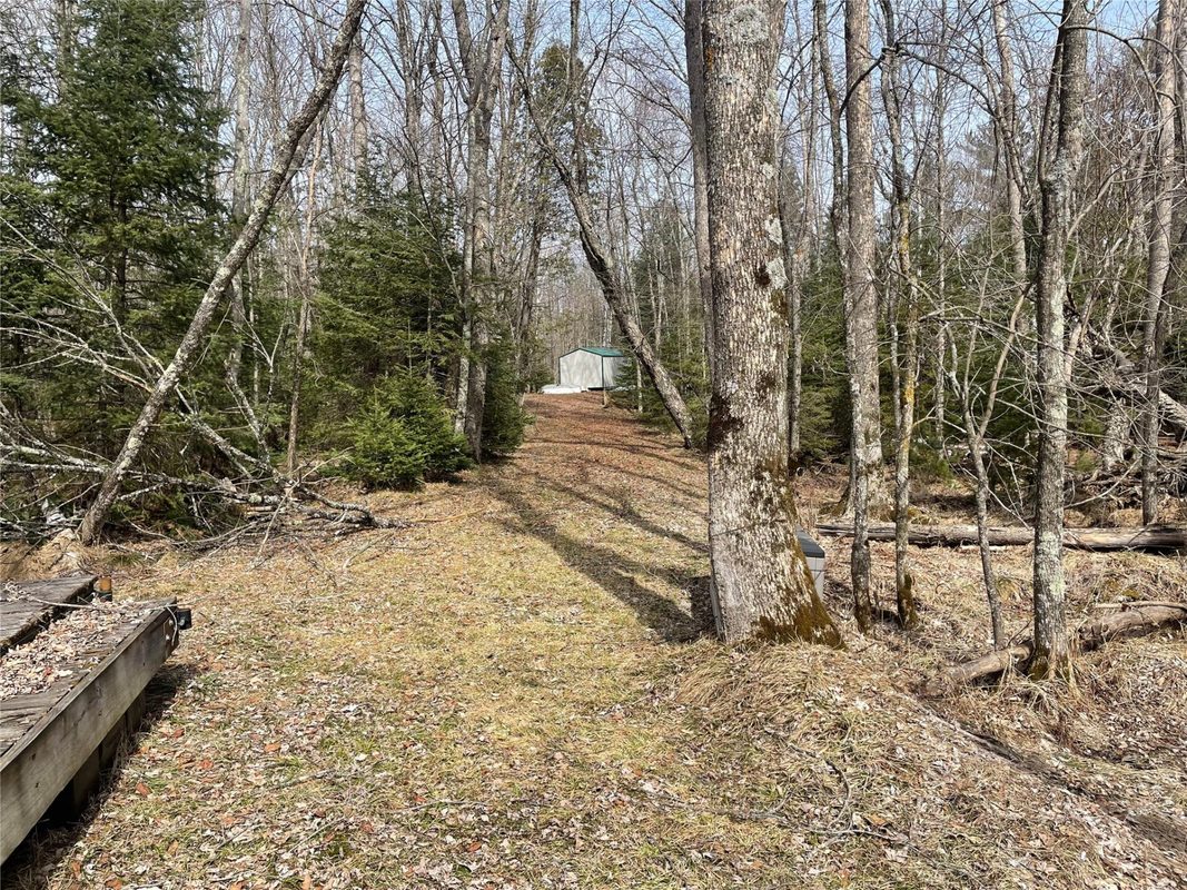 4091 W North Clover Road, Winter, WI — photo 33