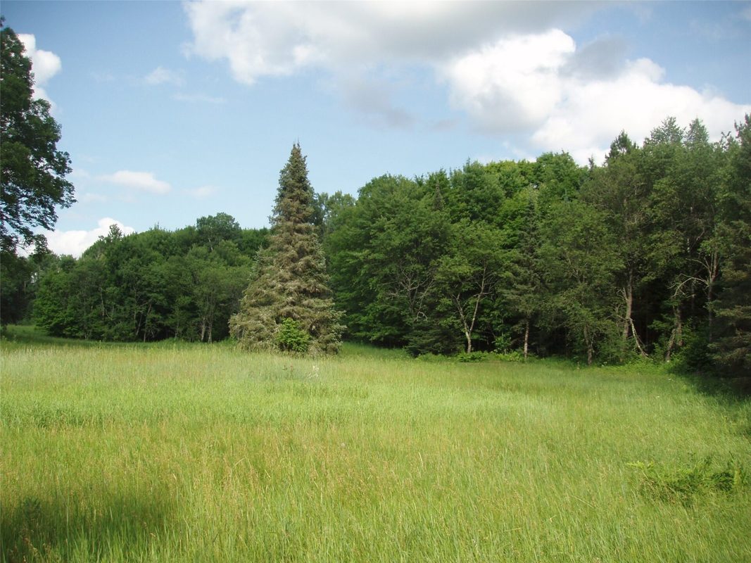 2460N County Highway FF, Butternut WI 54514 - Residential house for sale - MLS #1602950 - image34