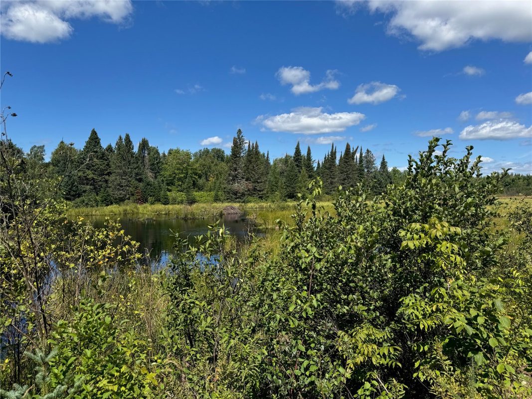 8143 Wright Road, Winter WI 54896 - Land house for sale - MLS #1594262 - image33