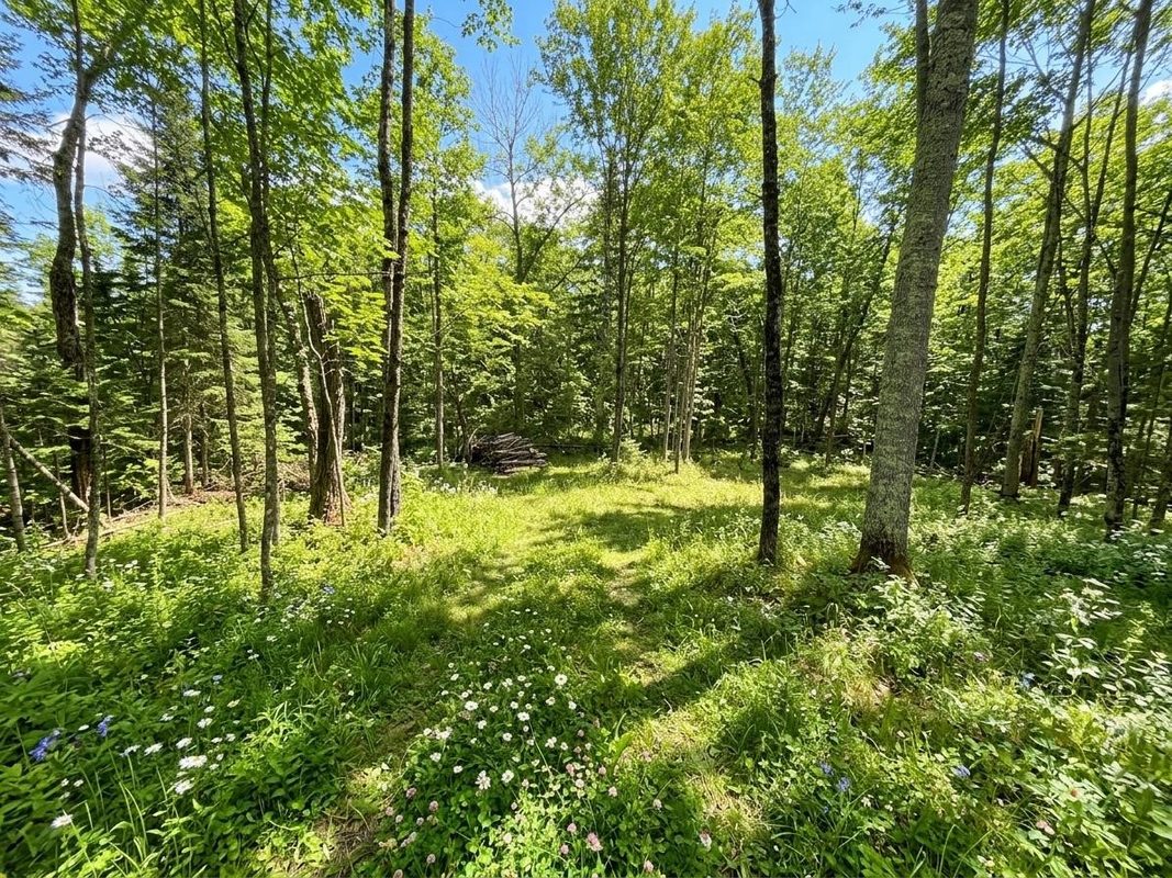 2861 29 7/16 Avenue, Birchwood WI 54817 - Land house for sale - MLS #1599164 - image7
