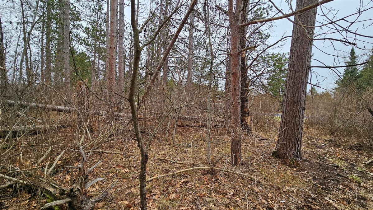 Lot 2 Jenny Lane Hayward WI 54843 — photo 6