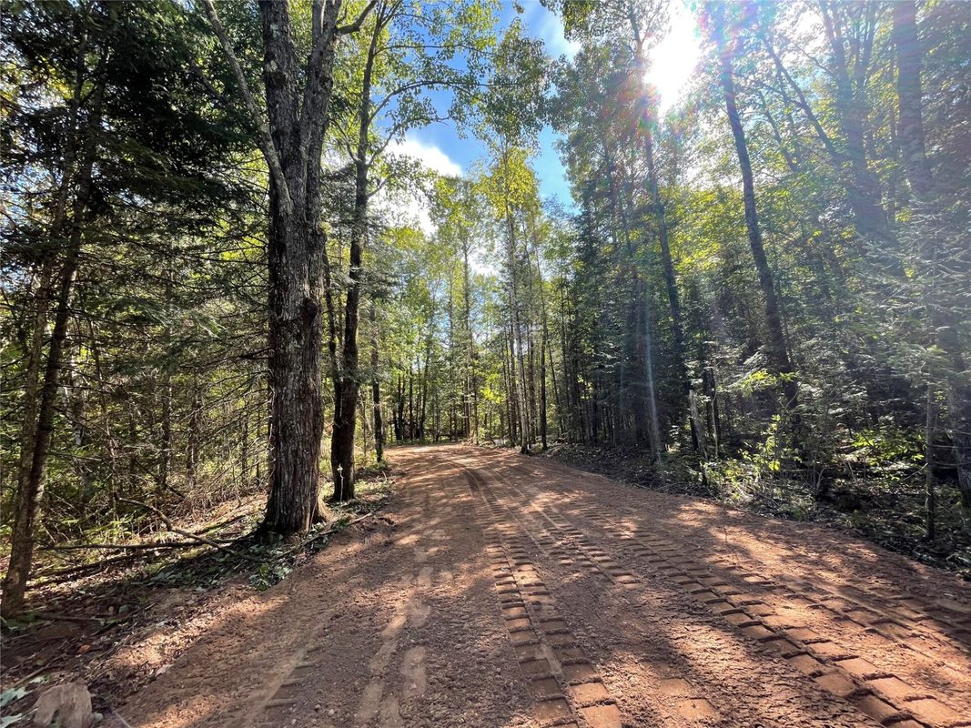 Lot 2 Fadness Road, Winter WI 54896 - Land house for sale - MLS #1605242 - image4