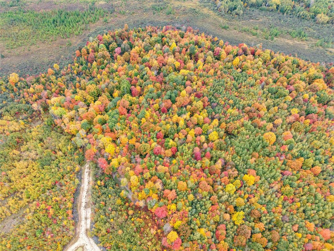 0000 County Road I, Ogema WI 54459 - Land house for sale - MLS #1605613 - image9