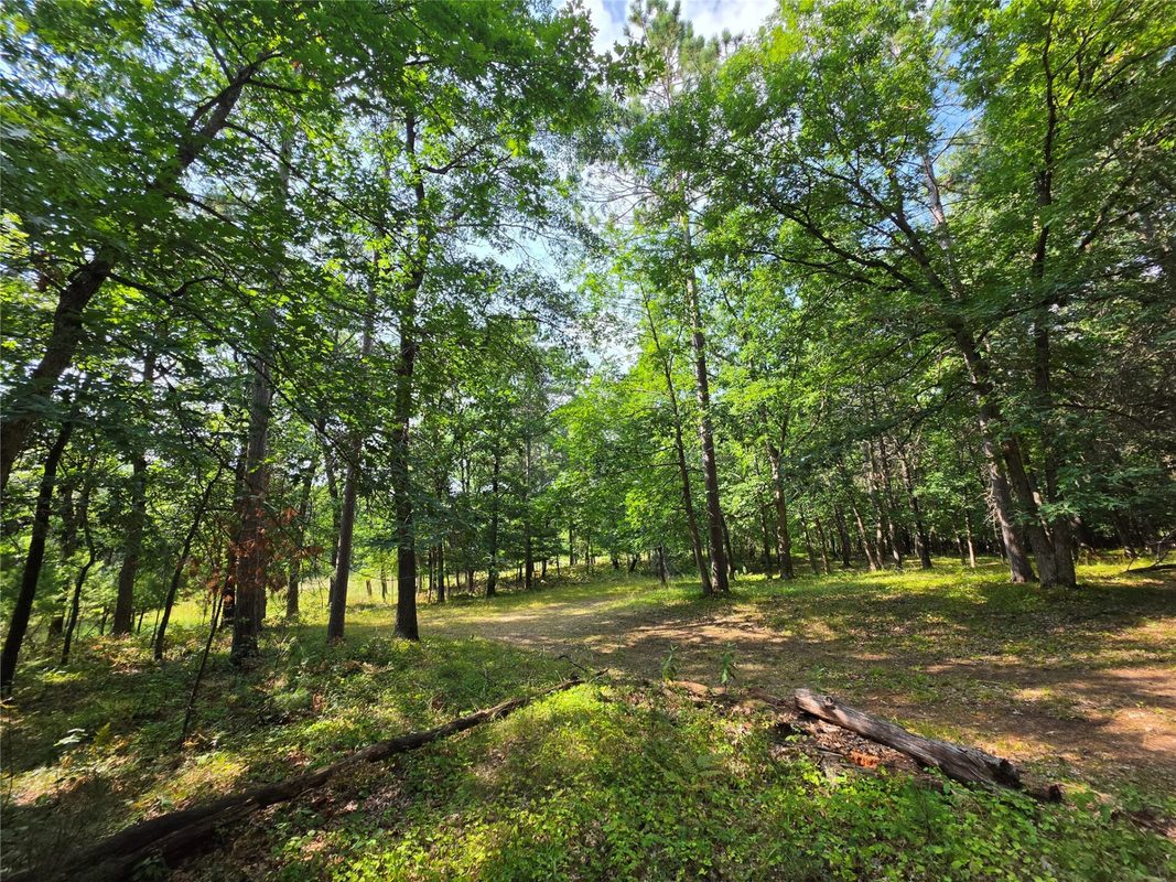 xxx County Road H, Danbury WI 54830 - Land house for sale - MLS #1600068 - image4