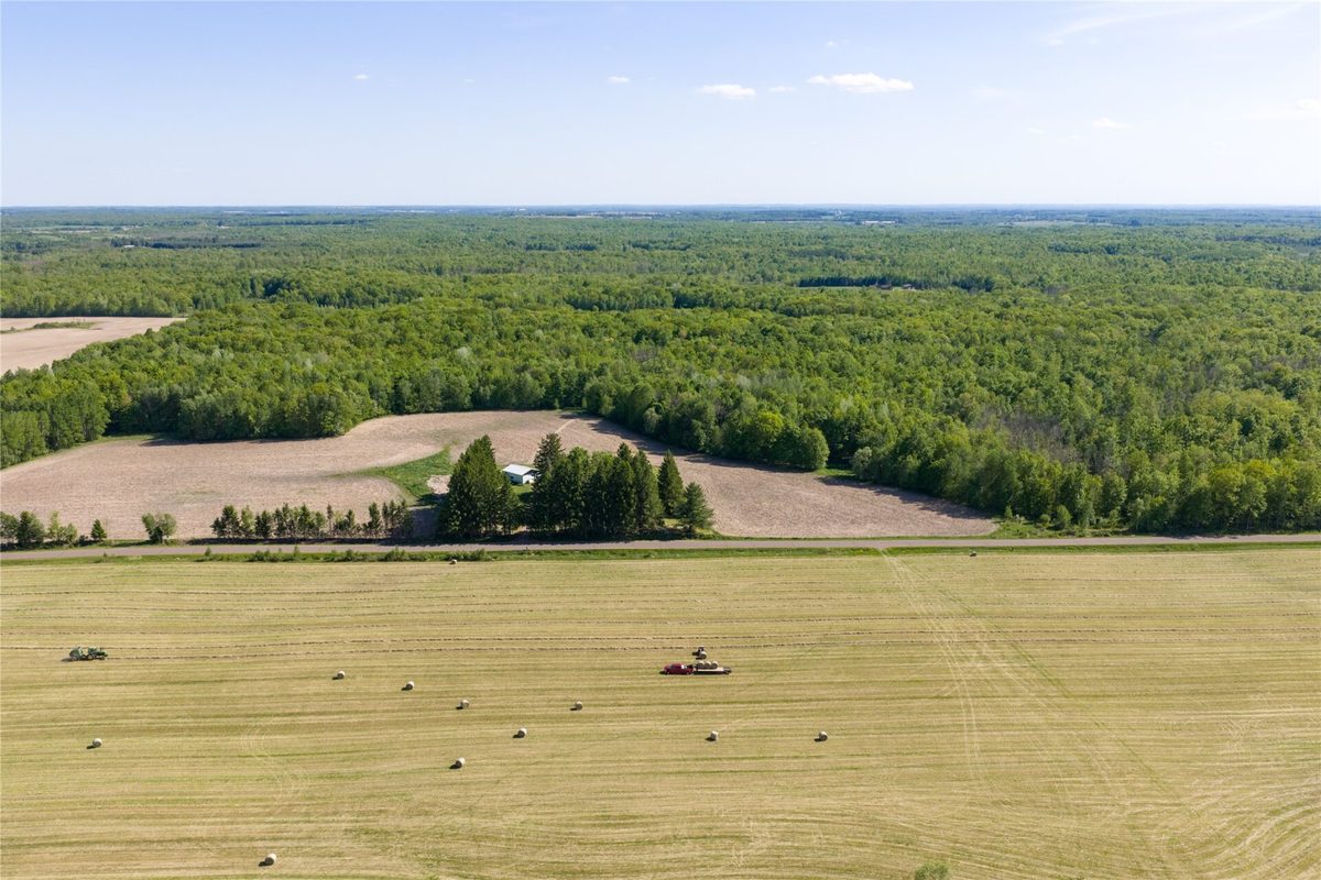 20 Acres 210th Avenue, Cornell WI 54732 - Land house for sale - MLS #1605171 - image3