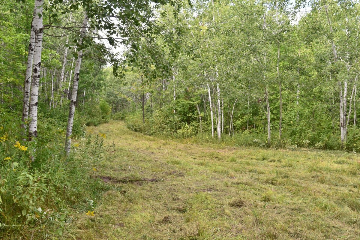 26615 Star Route Road, Bayfield WI 54814 - Land house for sale - MLS #1604800 - image27