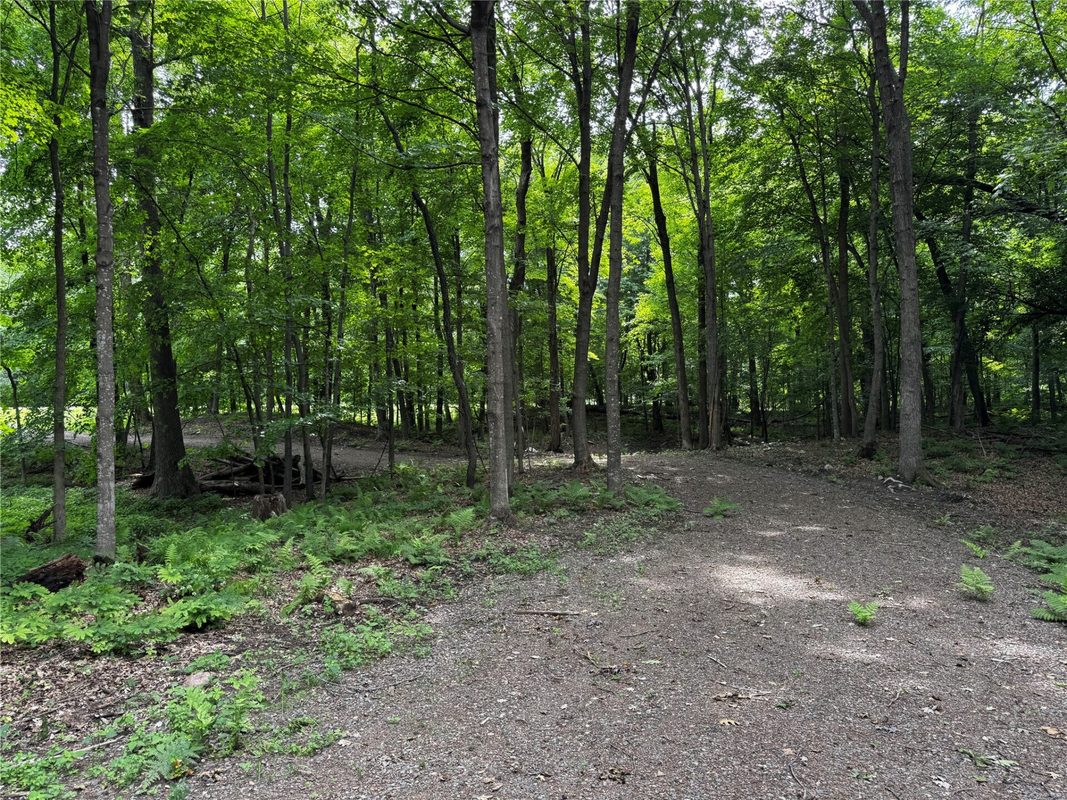 XXX County Road I, Balsam Lake WI 54810 - Land house for sale - MLS #1602879 - image12