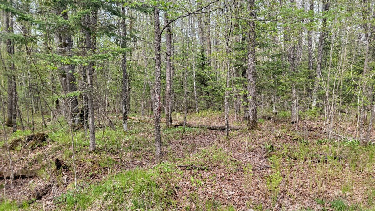 W10389 Fleming Road, Park Falls WI 54552 - Residential house for sale - MLS #1601372 - image22
