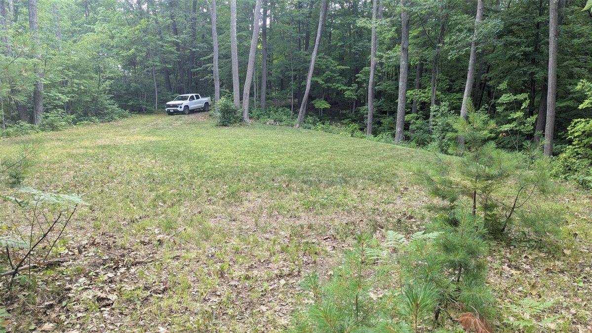 Lot 3 Ham-Holly Drive, Stone Lake WI 54876 - Land house for sale - MLS #1603509 - image6