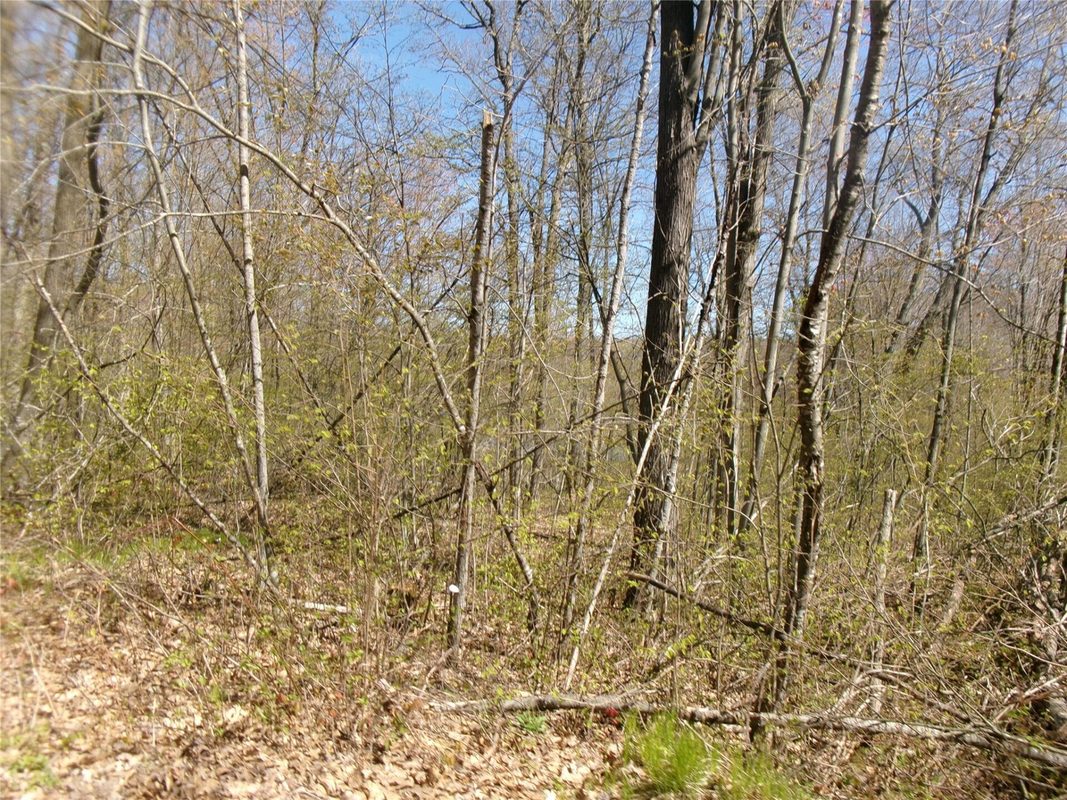 Tax ID 35410 Moody Lake Road, Sarona WI 54870 - Land house for sale - MLS #1601029 - image12