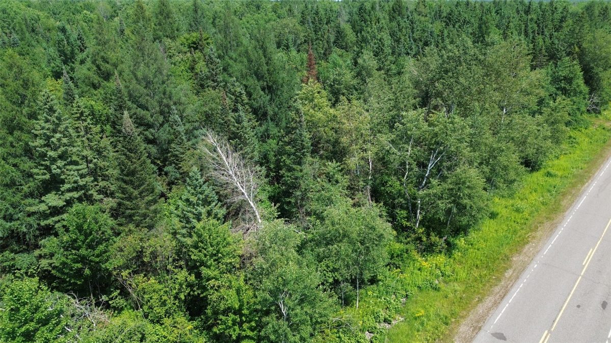 Lot 3 County Highway W, Winter WI 54896 - Land house for sale - MLS #1603803 - image10